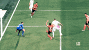 Fc Augsburg Wow GIF by Bundesliga