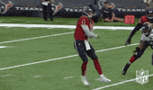 houston texans GIF by NFL