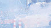 GIF by NYCFC