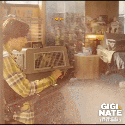 GigiAndNateMovie monkey welcome home capuchin charlie rowe GIF