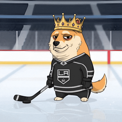 Ice Hockey Dog GIF by Doge Pound