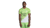Germany Thumbs Up Sticker by VfL Wolfsburg