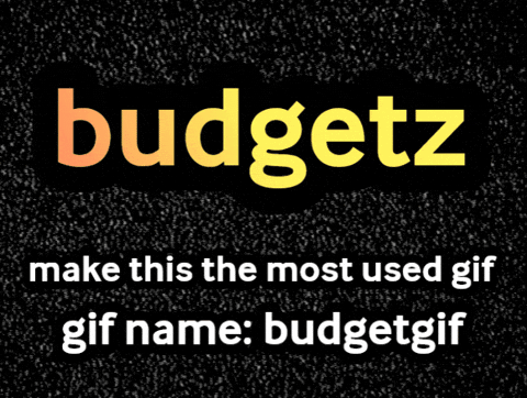 Budgetgif GIF