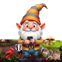 Cute Gnome Taking A Selfie Sticker
