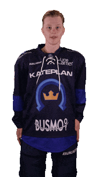 KiekkoEspooOfficial espoo mestis kiekkoespoo kivikova Sticker