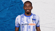 Goal Bundesliga GIF by Hertha BSC