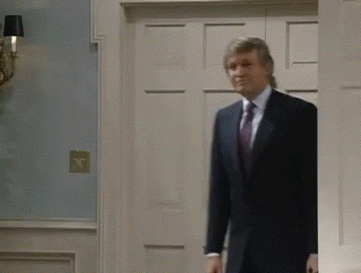Donald Trump 90S Tv GIF