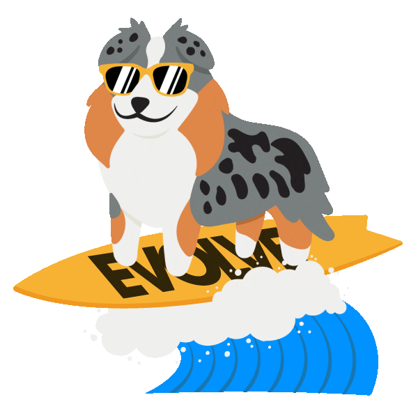 Dog Evolve Sticker by Sunshine Mills