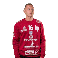 Hand Interdit Sticker by GRAND BESANÇON DOUBS HANDBALL