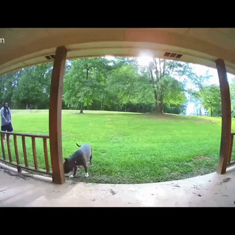 edwinzane giphygifmaker GIF