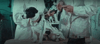 Space Dogs GIF by Filmin