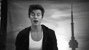if i cant have you GIF by Shawn Mendes