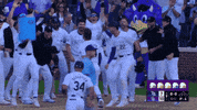 Major League Baseball Sport GIF by MLB