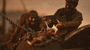 Food Water GIF by Age Of Empires Community