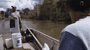 surprise fish GIF