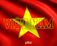 Viet Nam Peace GIF by PITO