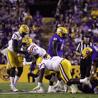 Football Sport GIF by LSU Tigers