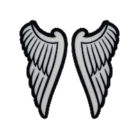 doodadandfandango angel wings goth angelwings Sticker