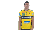Handball-Bundesliga Finger Sticker by LIQUI MOLY HBL