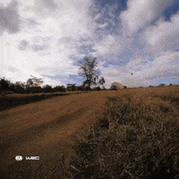 Toyota GIF by FIA World Rally Championship