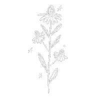 StudioLouu flower plant botanic studiolouu Sticker