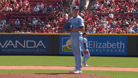 Blue Jays Baseball GIF by Toronto Blue Jays