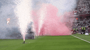 Western Sydney Wanderers GIF by wswanderersfc