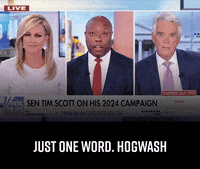 votetimscott tim scott votetimscott timscott GIF