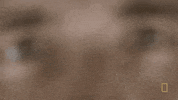 season 2 eyes GIF by National Geographic Channel