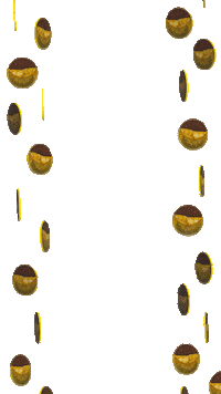 Foolsgold Sticker by Daughters of Reykjavik