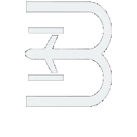 Bb Sticker by Blue Book