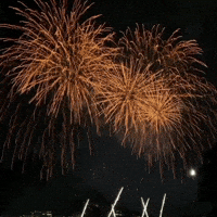 Happy Celebration GIF