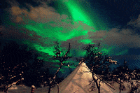 beauty photography GIF