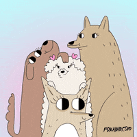 Animation Domination Lol GIF by gifnews