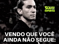 Filipe Luis Figurinha GIF by Sou Eu Na Vida