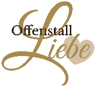 Horse Reiten Sticker by Reitkunstzentrum Südbaden