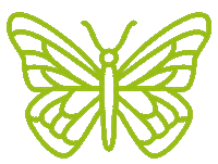 ednetze green animal fly butterfly Sticker