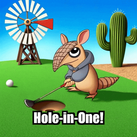 Hole-In-One Mini Golf GIF by Chillo Dillo