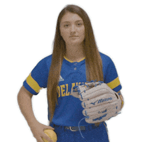 ball catch Sticker by Delaware Blue Hens