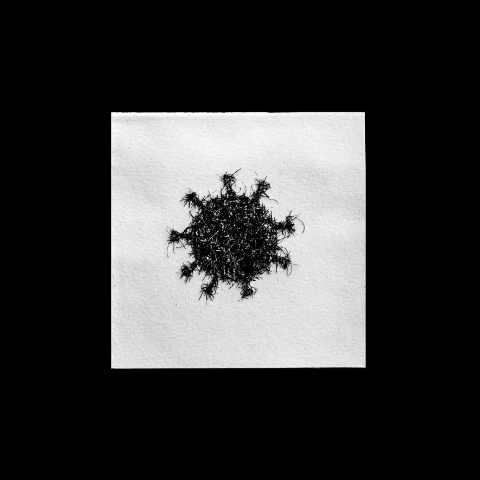mauriciocruzreyes giphygifmaker GIF