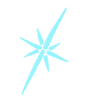 Star Sticker