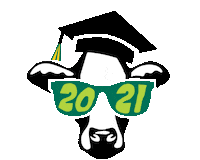 Class Of 2021 Uvm Sticker by University of Vermont