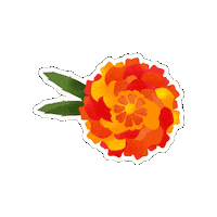 Day Of The Dead Mexico Sticker