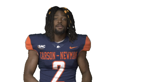 Seatbelt Sticker by Carson-Newman Athletics