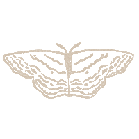 Art Spring Sticker