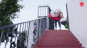 Real Life Summer Games GIF by BuzzFeed