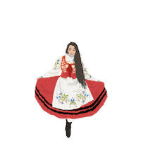 Kaszebe Sticker