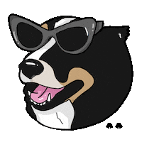 Happy Dog Sticker by closhoesanddogs