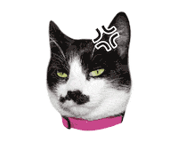 Angry Meme Sticker