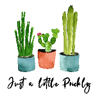 Plants Cactus Sticker by Beautigurlz